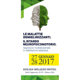 Le malattie demielinizzanti. Il ritardo neuropsicomotorio. <br>27/28 Gennaio 2017